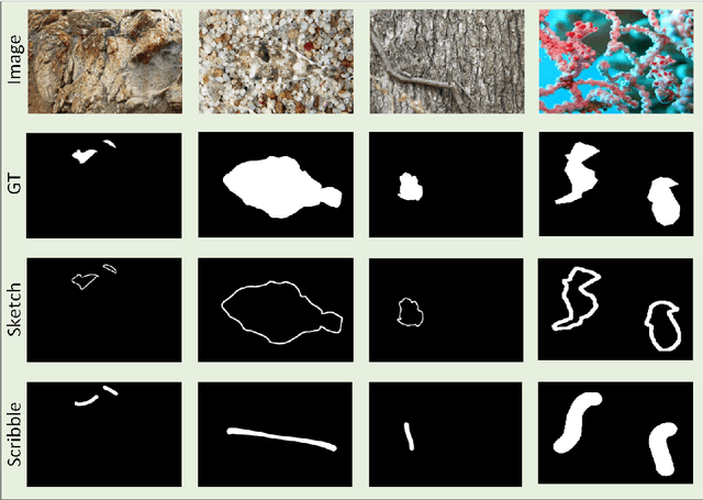 Figure 2 for Let Human Sketches Help: Empowering Challenging Image Segmentation Task with Freehand Sketches