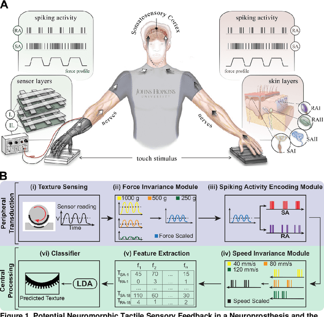 Figure 1 for Invariant neuromorphic representations of tactile stimuli improve robustness of a real-time texture classification system