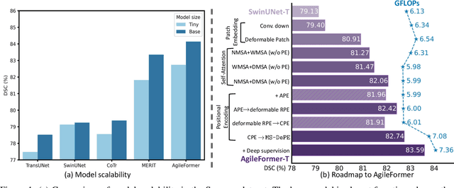 Figure 1 for AgileFormer: Spatially Agile Transformer UNet for Medical Image Segmentation