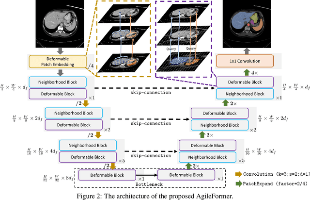 Figure 3 for AgileFormer: Spatially Agile Transformer UNet for Medical Image Segmentation