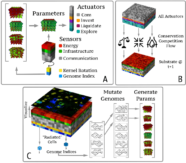 Figure 1 for Coralai: Intrinsic Evolution of Embodied Neural Cellular Automata Ecosystems