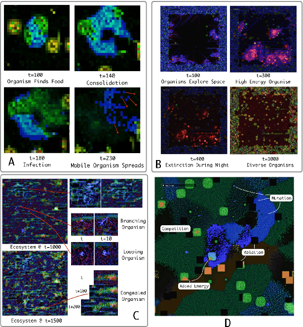 Figure 2 for Coralai: Intrinsic Evolution of Embodied Neural Cellular Automata Ecosystems