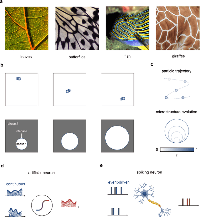 Figure 1 for Neural Network Modeling of Microstructure Complexity Using Digital Libraries