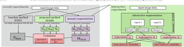 Figure 1 for Virtually Objective Quantification of in vitro Wound Healing Scratch Assays with the Segment Anything Model