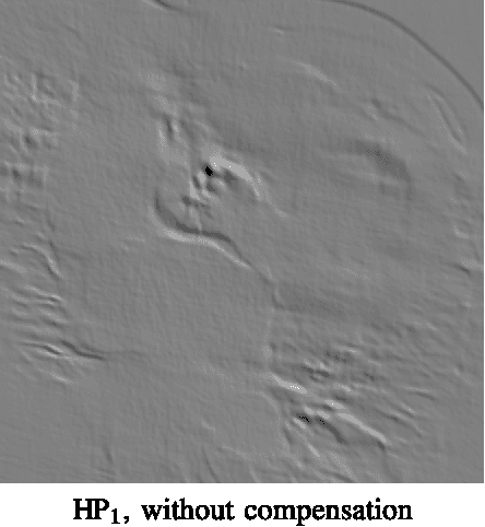 Figure 4 for Temporal Scalability of Dynamic Volume Data Using Mesh Compensated Wavelet Lifting