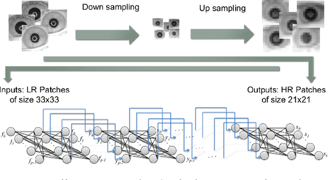Figure 2 for Exploring Deep Learning Image Super-Resolution for Iris Recognition
