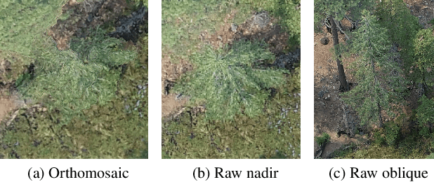 Figure 1 for Classifying geospatial objects from multiview aerial imagery using semantic meshes