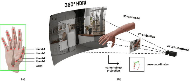 Figure 1 for Hi5: 2D Hand Pose Estimation with Zero Human Annotation