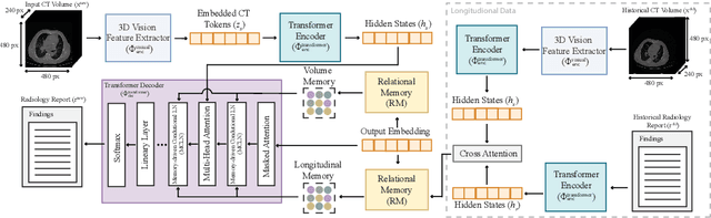 Figure 3 for CT2Rep: Automated Radiology Report Generation for 3D Medical Imaging