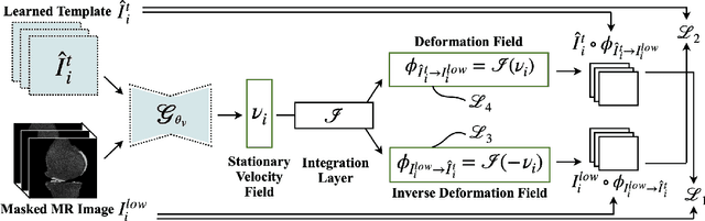 Figure 3 for CartiMorph: a framework for automated knee articular cartilage morphometrics
