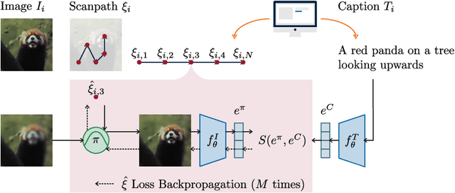 Figure 1 for Caption-Driven Explorations: Aligning Image and Text Embeddings through Human-Inspired Foveated Vision