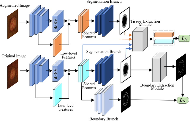 Figure 1 for Multi Task Consistency Guided Source-Free Test-Time Domain Adaptation Medical Image Segmentation
