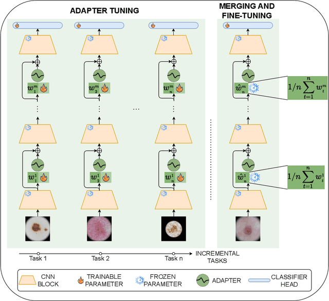 Figure 1 for DynaMMo: Dynamic Model Merging for Efficient Class Incremental Learning for Medical Images