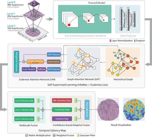 Figure 3 for GRAPHITE: Graph-Based Interpretable Tissue Examination for Enhanced Explainability in Breast Cancer Histopathology