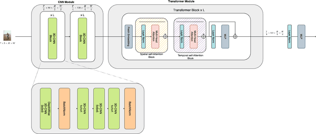 Figure 1 for ConViViT -- A Deep Neural Network Combining Convolutions and Factorized Self-Attention for Human Activity Recognition