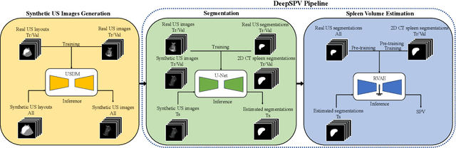 Figure 1 for DeepSPV: An Interpretable Deep Learning Pipeline for 3D Spleen Volume Estimation from 2D Ultrasound Images