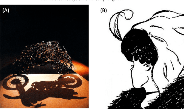 Figure 1 for There's Plenty of Room Right Here: Biological Systems as Evolved, Overloaded, Multi-scale Machines