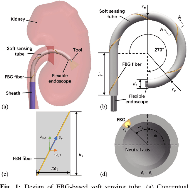 Figure 1 for Simultaneous Estimation of Shape and Force along Highly Deformable Surgical Manipulators Using Sparse FBG Measurement