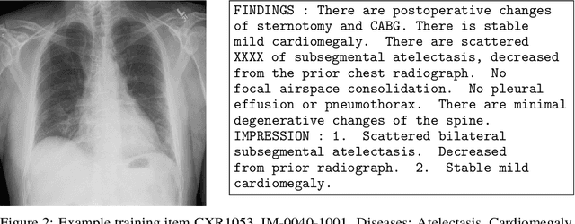 Figure 3 for Multimodal Medical Disease Classification with LLaMA II