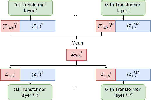 Figure 1 for Multi-Modal Vision Transformers for Crop Mapping from Satellite Image Time Series