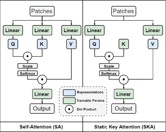 Figure 1 for Static Key Attention in Vision