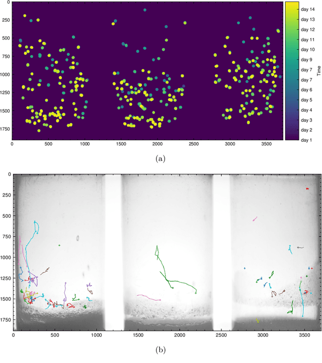 Figure 4 for Hatching-Box: Monitoring the Rearing Process of Drosophila Using an Embedded Imaging and in-vial Detection System