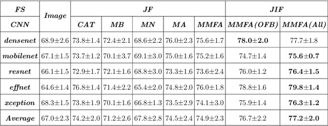 Figure 2 for Joint-Individual Fusion Structure with Fusion Attention Module for Multi-Modal Skin Cancer Classification