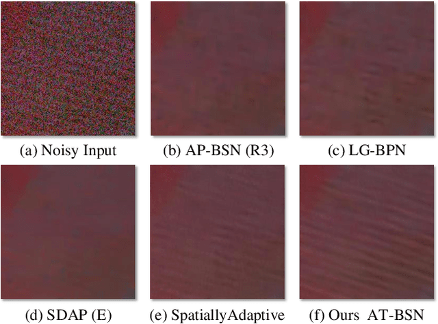 Figure 1 for Exploring Asymmetric Tunable Blind-Spots for Self-supervised Denoising in Real-World Scenarios