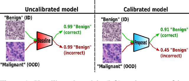 Figure 1 for MaxEnt Loss: Constrained Maximum Entropy for Calibration under Out-of-Distribution Shift