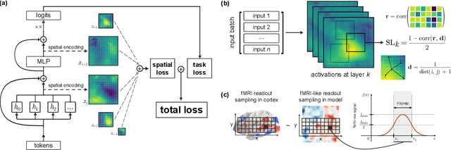 Figure 1 for TopoLM: brain-like spatio-functional organization in a topographic language model