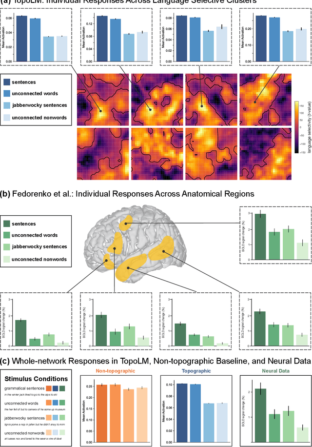 Figure 3 for TopoLM: brain-like spatio-functional organization in a topographic language model