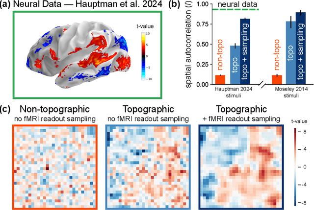 Figure 4 for TopoLM: brain-like spatio-functional organization in a topographic language model