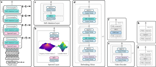Figure 1 for PainFormer: a Vision Foundation Model for Automatic Pain Assessment