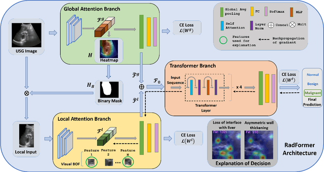 Figure 3 for RadFormer: Transformers with Global-Local Attention for Interpretable and Accurate Gallbladder Cancer Detection