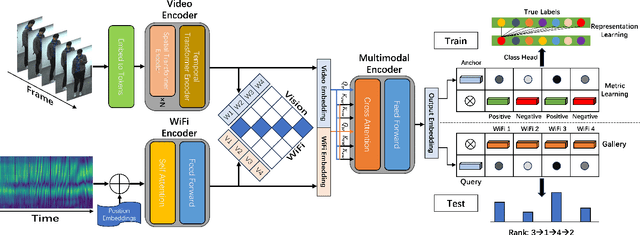 Figure 2 for ViFi-ReID: A Two-Stream Vision-WiFi Multimodal Approach for Person Re-identification