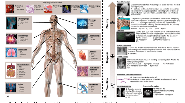 Figure 3 for Asclepius: A Spectrum Evaluation Benchmark for Medical Multi-Modal Large Language Models