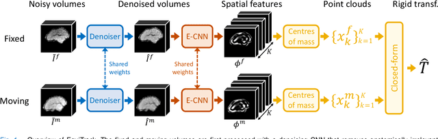 Figure 1 for SE-Equivariant and Noise-Invariant 3D Motion Tracking in Medical Images