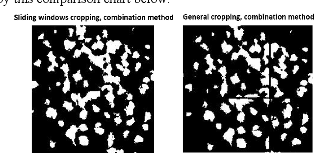 Figure 2 for Advanced Image Segmentation Techniques for Neural Activity Detection via C-fos Immediate Early Gene Expression