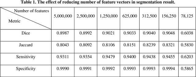 Figure 2 for MRI brain tumor segmentation using informative feature vectors and kernel dictionary learning