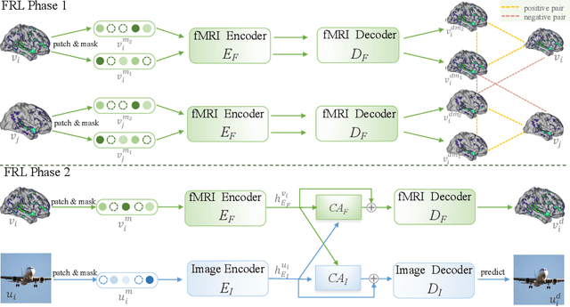 Figure 1 for Contrast, Attend and Diffuse to Decode High-Resolution Images from Brain Activities