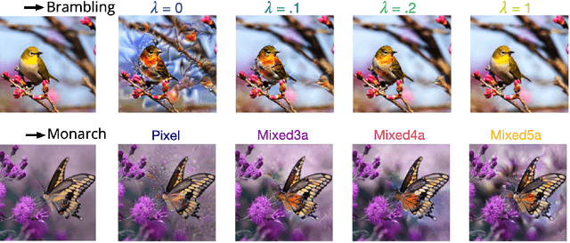 Figure 2 for Feature Accentuation: Revealing 'What' Features Respond to in Natural Images