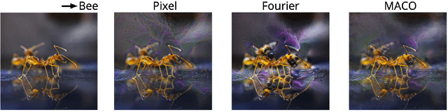 Figure 3 for Feature Accentuation: Revealing 'What' Features Respond to in Natural Images