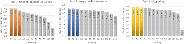 Figure 4 for DRAC: Diabetic Retinopathy Analysis Challenge with Ultra-Wide Optical Coherence Tomography Angiography Images