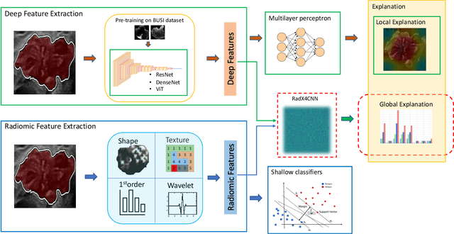 Figure 1 for Rad4XCNN: a new agnostic method for post-hoc global explanation of CNN-derived features by means of radiomics
