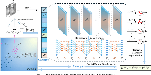 Figure 1 for Evolving Efficient Genetic Encoding for Deep Spiking Neural Networks