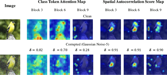 Figure 1 for SATA: Spatial Autocorrelation Token Analysis for Enhancing the Robustness of Vision Transformers