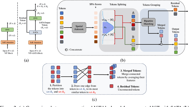 Figure 3 for SATA: Spatial Autocorrelation Token Analysis for Enhancing the Robustness of Vision Transformers