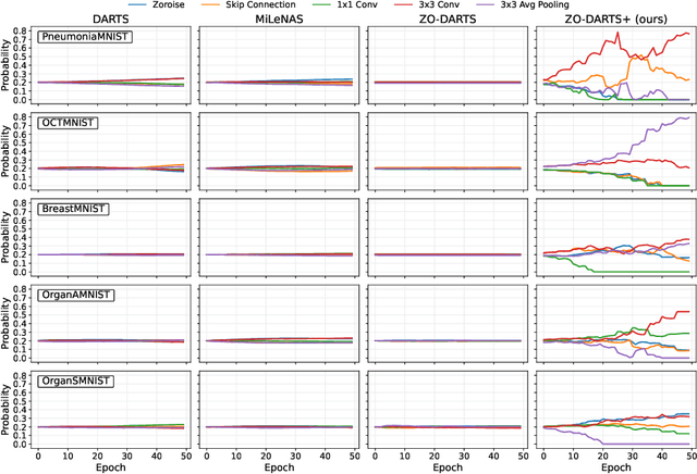 Figure 1 for A Lightweight Neural Architecture Search Model for Medical Image Classification