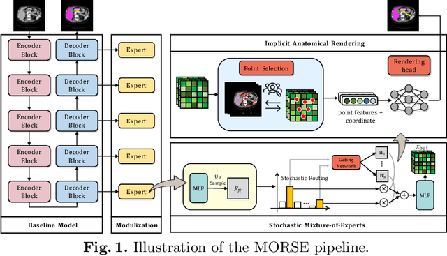 Figure 1 for Implicit Anatomical Rendering for Medical Image Segmentation with Stochastic Experts