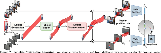 Figure 3 for Tubelet-Contrastive Self-Supervision for Video-Efficient Generalization